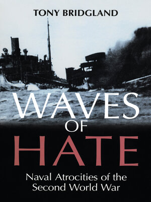 cover image of Waves of Hate